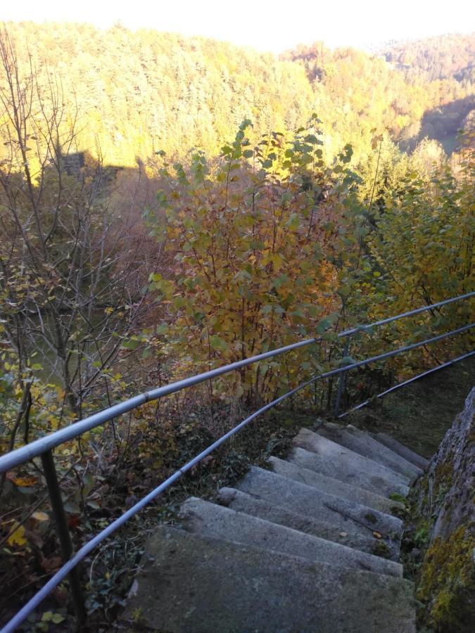Urlaubspension Die Muehle Schöllnach Exterior foto